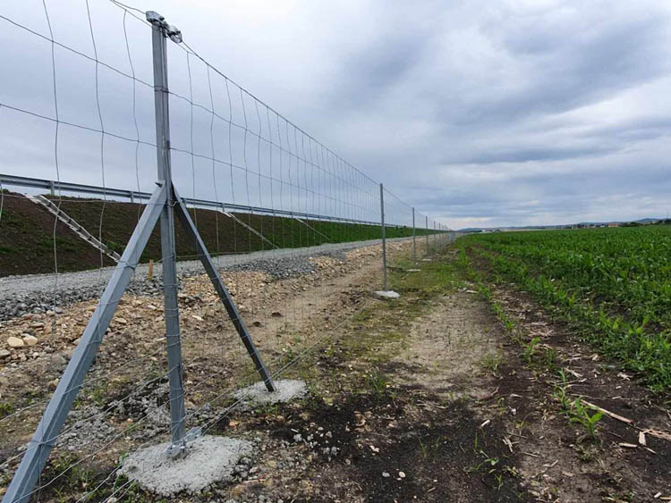 china cattle fence products