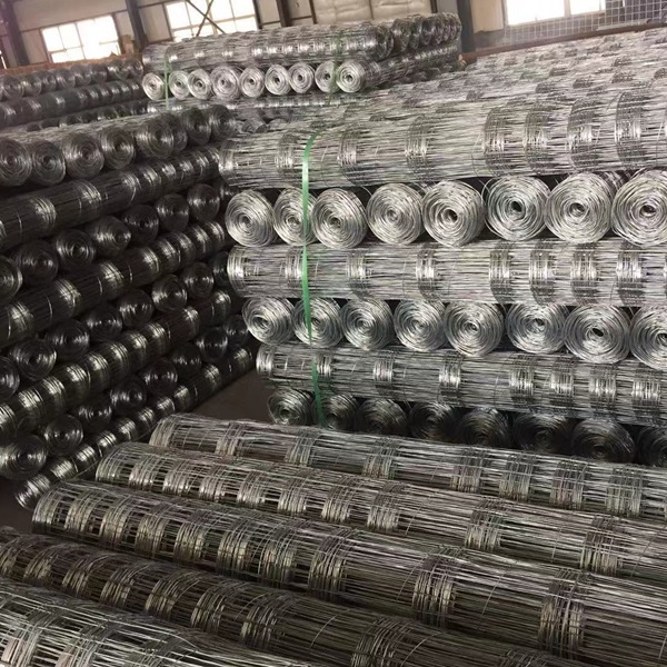 galvanized chain link fabric exporter