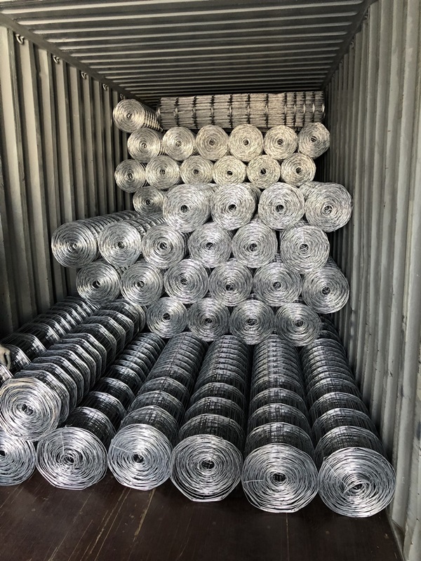 galvanized mesh screen net product