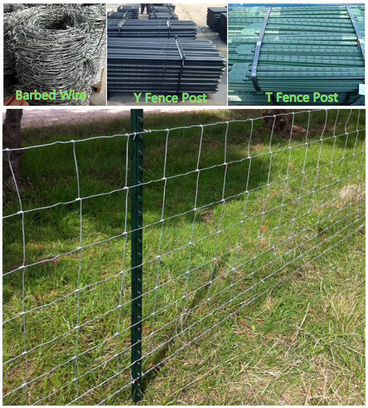 best fixed knot fence net factories