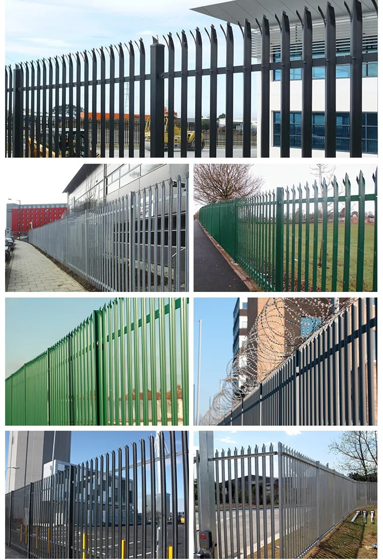 china razor net