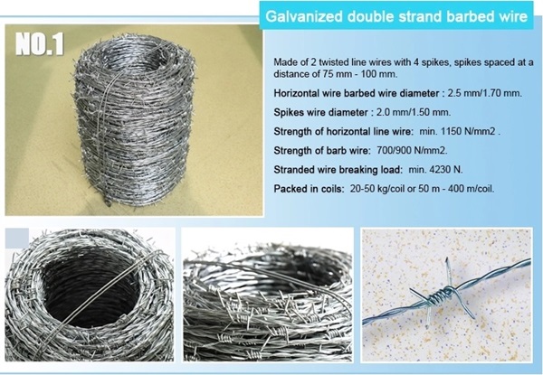 famous galvanized chain link mesh fence