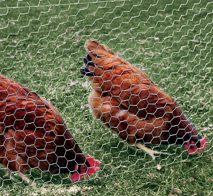 electro galvanized hexagonal wire mesh product