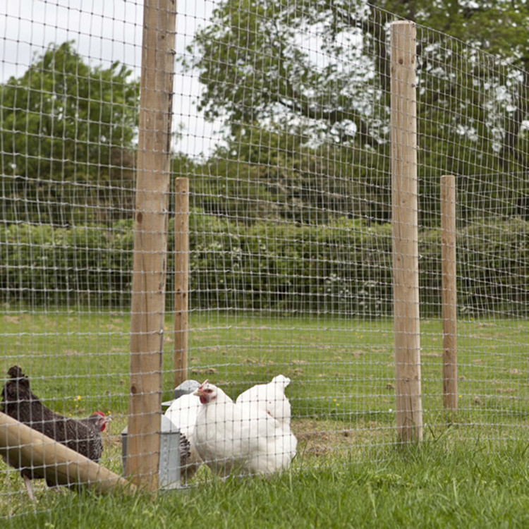cheap portable movable fencing