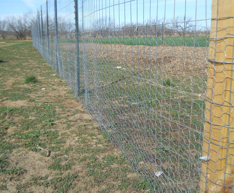 custom square wire mesh
