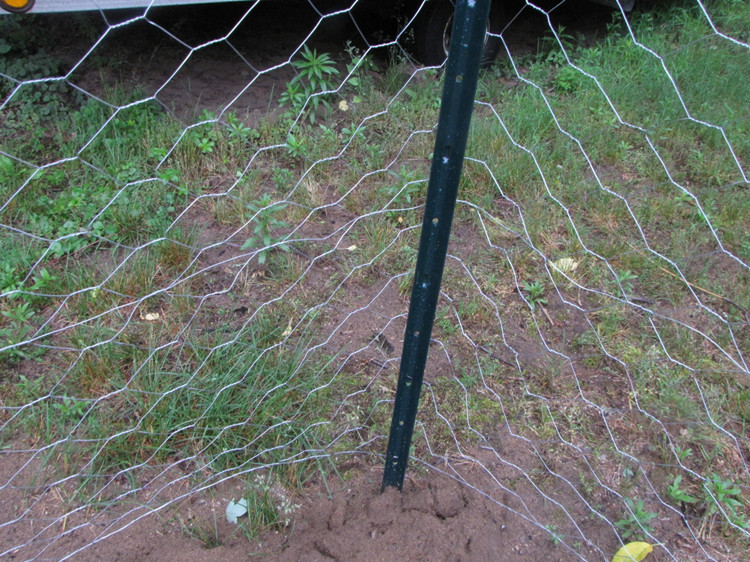 odm hexagonal wire mesh